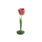 Tulip Candleholders