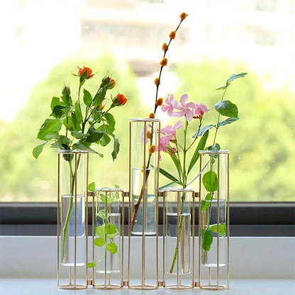 Test Tube Vase with 5 Test Tubes, Metal Stand