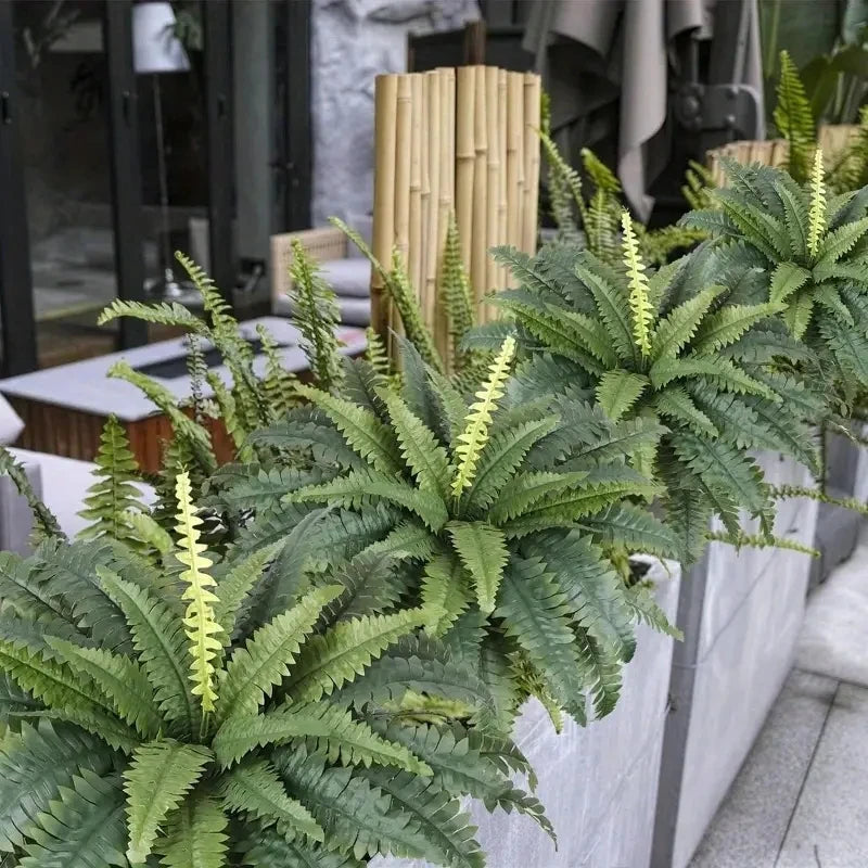 Realistic Boston Ferns 57cm/67cm