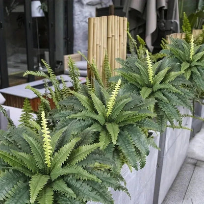 Realistic Boston Ferns 57cm/67cm