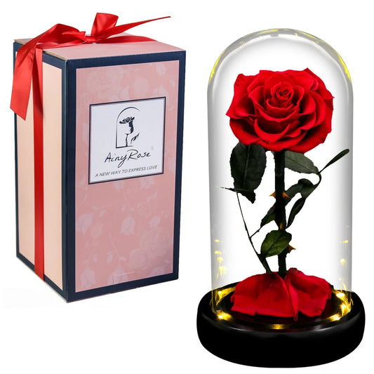 Forever Preserved Real Rose in Glass With LED