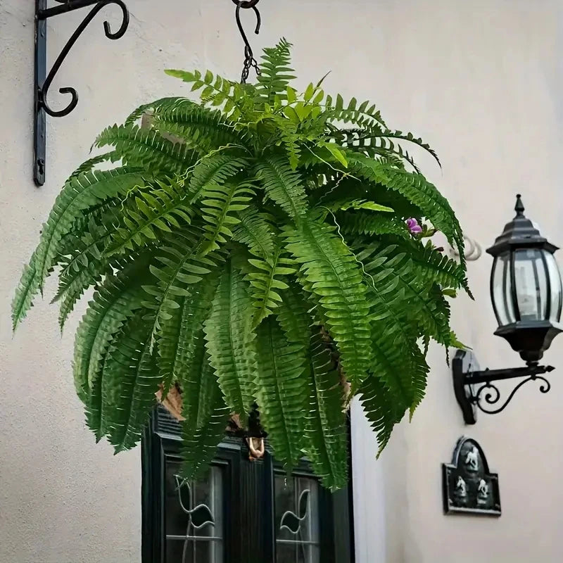 Realistic Boston Ferns 57cm/67cm