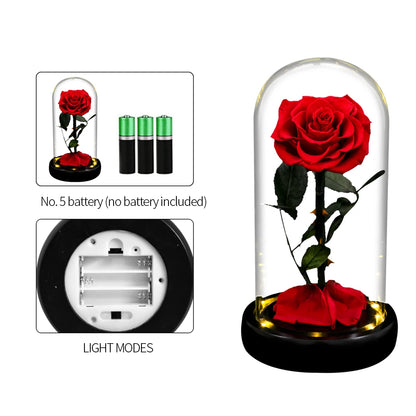 Forever Preserved Real Rose in Glass With LED