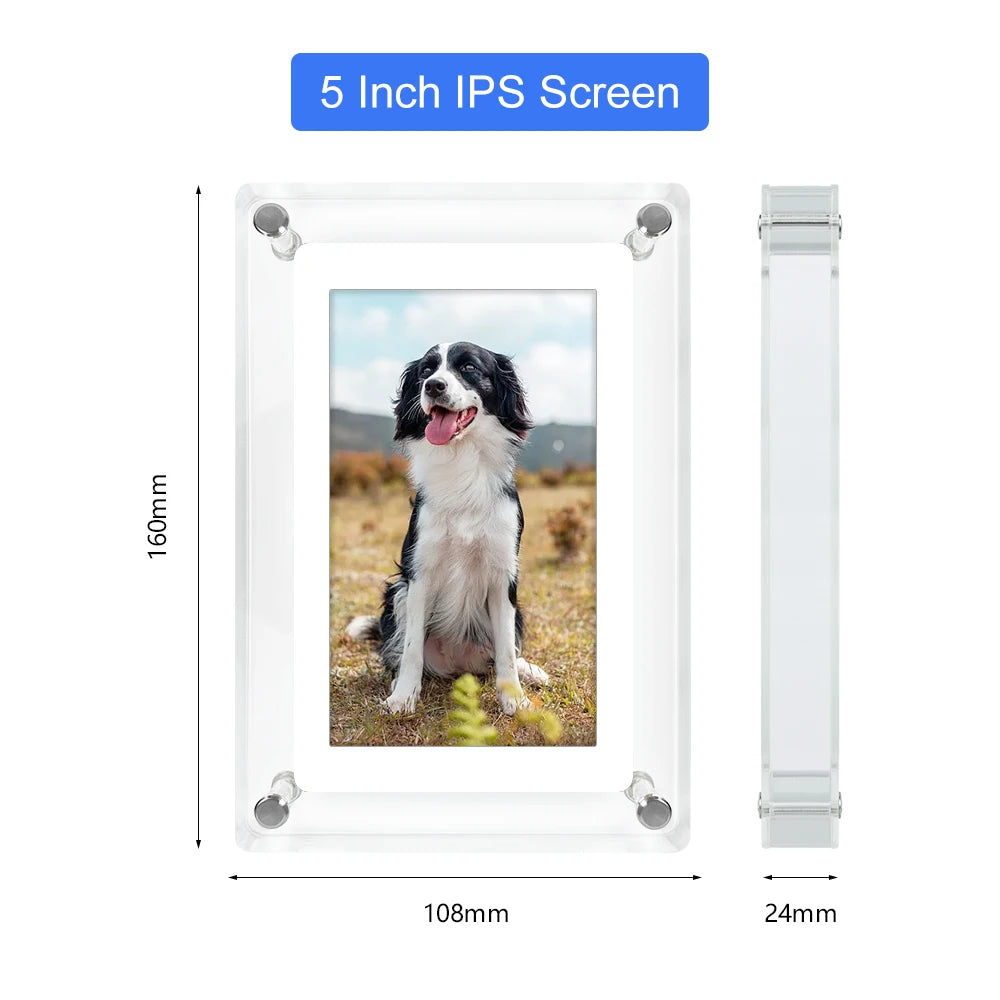 Acrylic Digital Photo Frame 5 and 7 Inch
