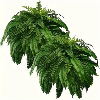 Realistic Boston Ferns 57cm/67cm