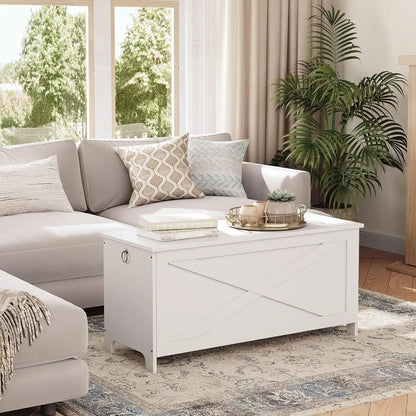 Storage Chest- Toy Box with Safety Hinges