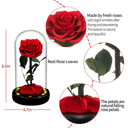 Forever Preserved Real Rose in Glass With LED