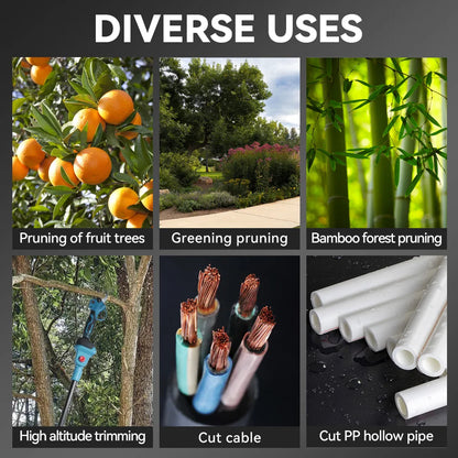 2in1 Brushless High Branch Saw Chainsaw & Pruning Shears