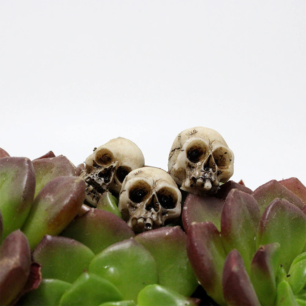 20Pcs Halloween Miniature Skulls Heads Ornament