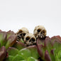 20Pcs Halloween Miniature Skulls Heads Ornament