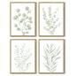 Botanical Plant Framed Wall Art