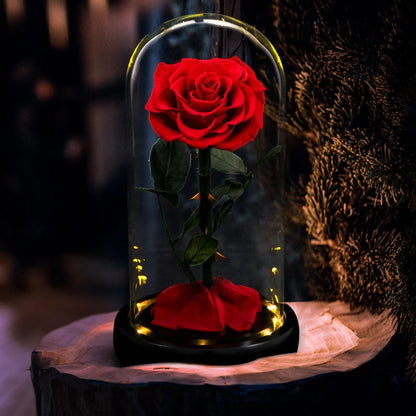 Forever Preserved Real Rose in Glass With LED