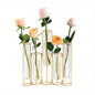 Test Tube Vase with 5 Test Tubes, Metal Stand